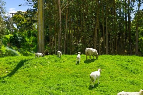 Photo of property in 340d Ngarara Road, Waikanae, 5391