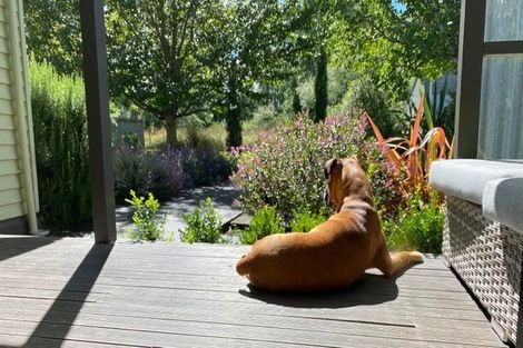 Photo of property in 197 Talbot Street, Geraldine, 7930