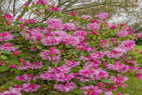 Photo of property in 449 Koputaroa Road, Koputaroa, Levin, 5575