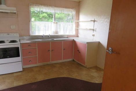 Photo of property in 103 Nixon Street, Hamilton East, Hamilton, 3216