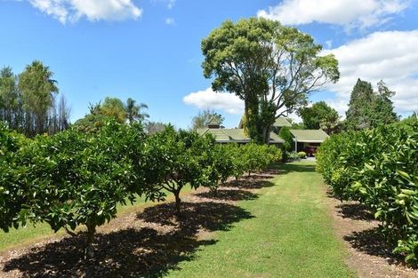 Photo of property in 698 Ngunguru Road, Glenbervie, Whangarei, 0173