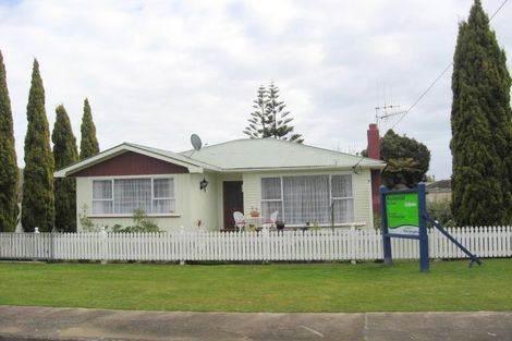 Photo of property in 17 Edinburgh Street, Levin, 5510