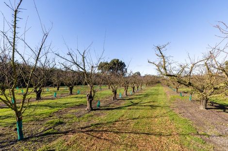 Photo of property in 934 Riverslea Road South, Longlands, Hastings, 4122