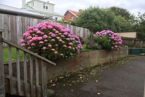 Photo of property in 24 Ross Street, Roslyn, Dunedin, 9010