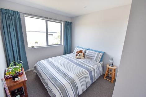 Photo of property in 117 Manuka Terrace, Ben Ohau, Twizel, 7999