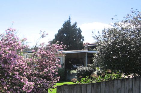 Photo of property in 123 Waihi Road, Judea, Tauranga, 3110