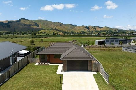 Photo of property in 6 Fern Rise, Paeroa, 3600