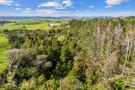 Photo of property in 736 Whakapirau Road, Whakapirau, Maungaturoto, 0583