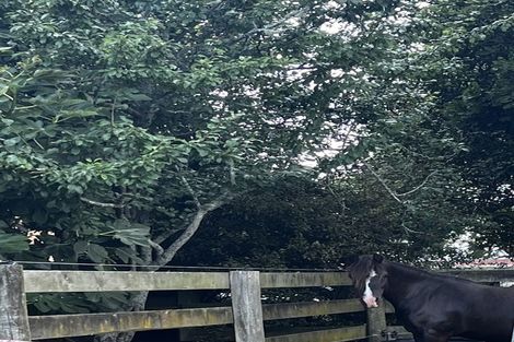 Photo of property in 123 Colville Road, Dargaville, 0377