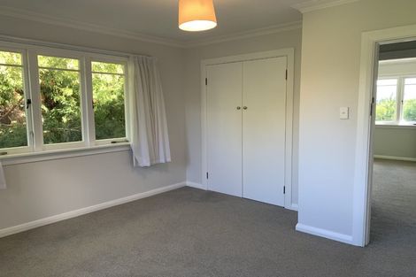 Photo of property in 66 Youngson Road, Whakamarama, Tauranga, 3180