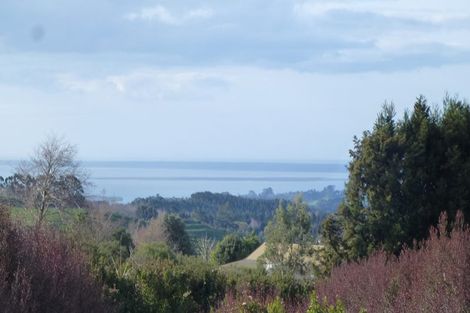 Photo of property in 46 Laurel Drive, Whakamarama, Tauranga, 3179