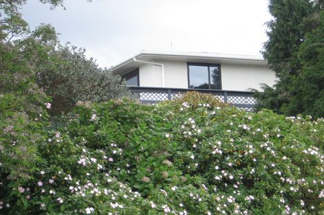 Photo of property in 25 Margaret Drive, Omokoroa, 3114