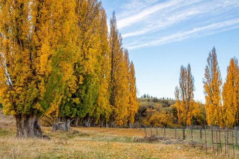 Photo of property in 192 Heaney Road, Cromwell, 9384