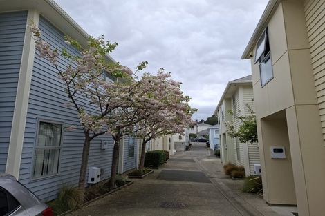 Photo of property in 7/44 Owen Street, Newtown, Wellington, 6021