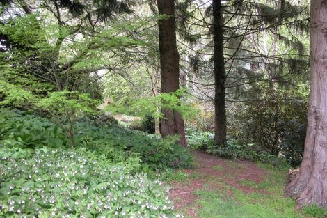 Photo of property in 38 Grammar Street, Kimbolton, 4777