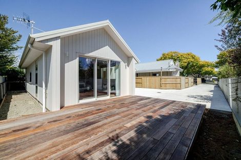 Photo of property in 43a Birmingham Street, Takaro, Palmerston North, 4412