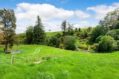 Photo of property in 2075 Arapuni Road, Pukeatua, 3880