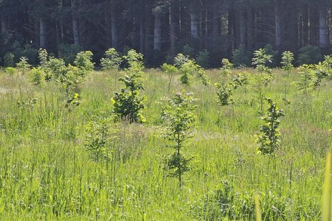 Photo of property in 577 Pesters Road, West Eyreton, Rangiora, 7475