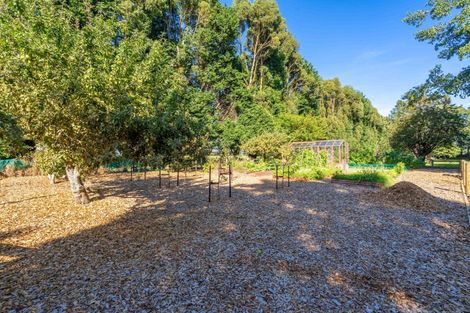 Photo of property in 7 Endowment Road, Waimatuku, Riverton, 9883