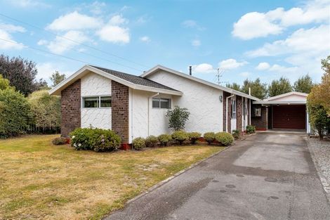 Photo of property in 144 Upper Plain Road, Masterton, 5810