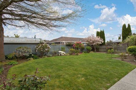 Photo of property in 128 Hamilton Avenue, Ilam, Christchurch, 8041