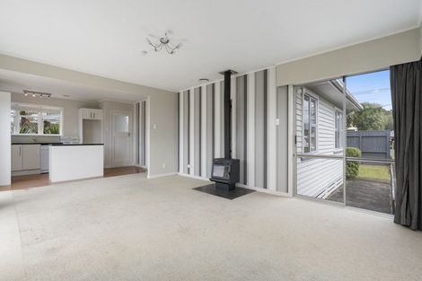 Photo of property in 315 Tukapa Street, Hurdon, New Plymouth, 4310