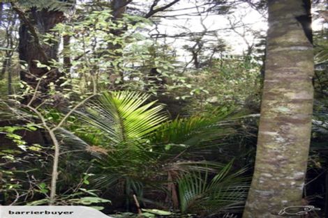 Photo of property in 53 De Boer Lane, Mangawhai, Kaiwaka, 0573