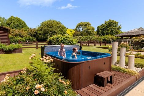 Photo of property in 59d Western Avenue, Omokoroa, 3114