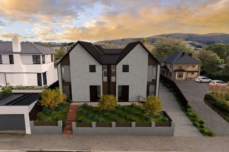 Photo of property in 339 Highgate, Roslyn, Dunedin, 9010