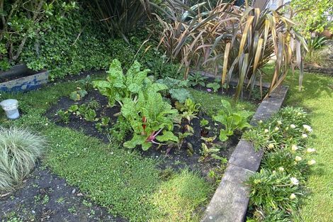 Photo of property in 5 Corbett Street, Hector, 7822