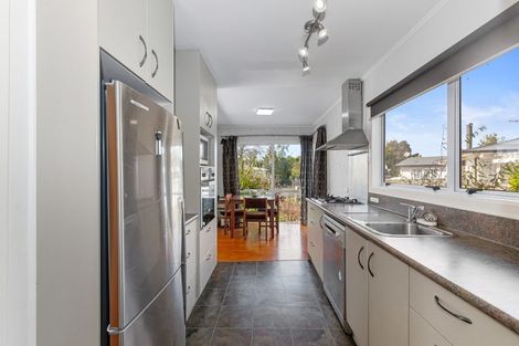 Photo of property in 3 Hughdene Place, Henderson, Auckland, 0610