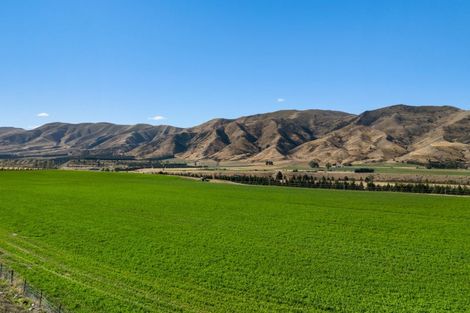 Photo of property in 72 Queensberry Terrace, Queensberry, Cromwell, 9383