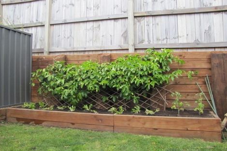 Photo of property in 16 Bridle Way, Omokoroa, 3114