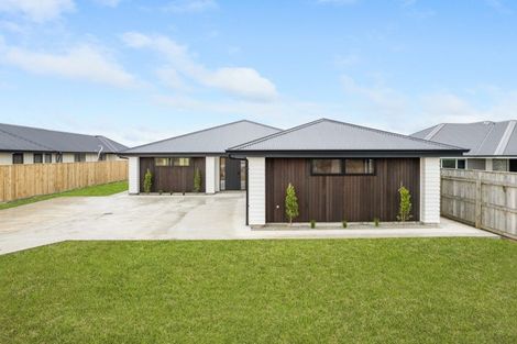 Photo of property in 168 Ranfurly Road, Feilding, 4702