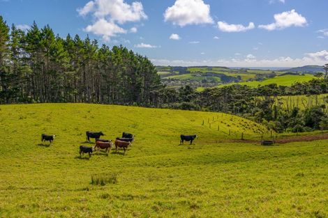 Photo of property in 200e Valley Road, Waimauku, 0881