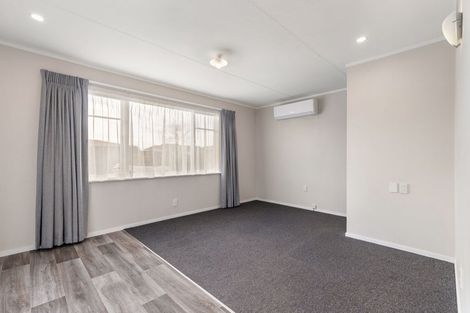 Photo of property in 19 Blenheim Place, Feilding, 4702