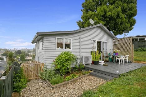 Photo of property in 73b Arapuni Street, Putaruru, 3411