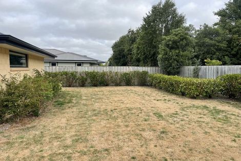 Photo of property in 4 Macphail Avenue, Rangiora, 7400