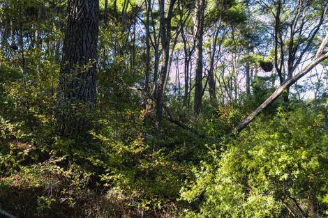 Photo of property in 7 Trig Station Rise, Paremoremo, Auckland, 0632