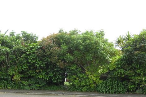 Photo of property in 66 Shanel Place, Te Awamutu, 3800