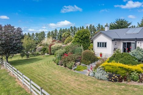 Photo of property in 138 Mckendry Road, Woodside, Outram, 9074