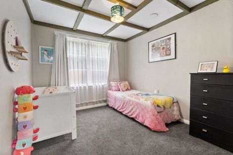 Photo of property in 85 Monrad Street, Highbury, Palmerston North, 4412