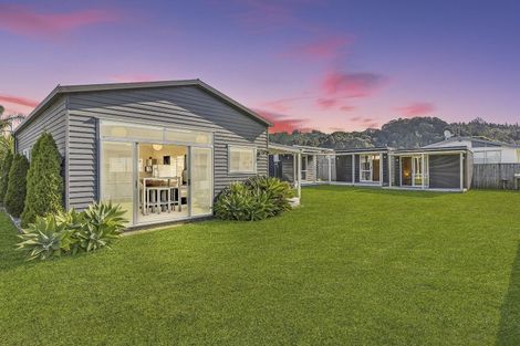 Photo of property in 217 Port Road, Whangamata, 3620