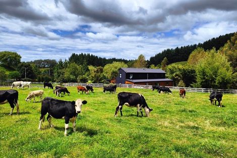 Photo of property in 1765 Tutukau Road, Ohakuri, Reporoa, 3083