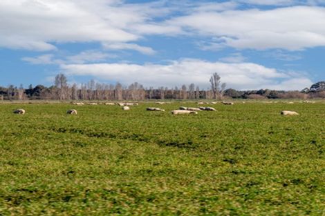 Photo of property in 197 Maindonalds Road, West Eyreton, 7475