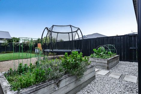 Photo of property in 19 Satchmo Place, Rototuna North, Hamilton, 3210