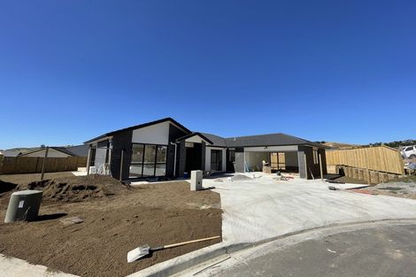 Photo of property in 52 Peacock Place, Pokeno, 2402