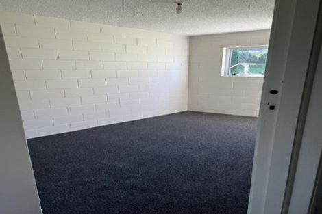 Photo of property in 56 Memorial Drive, Hamilton East, Hamilton, 3216