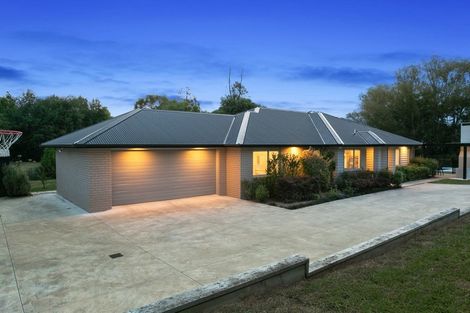 Photo of property in 721 Grove Road, Karamu, Hamilton, 3285