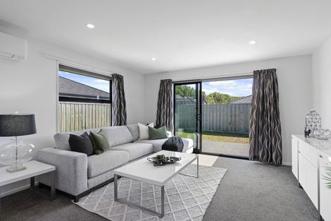 Photo of property in 55 Bonecrusher Street, Lincoln, 7608